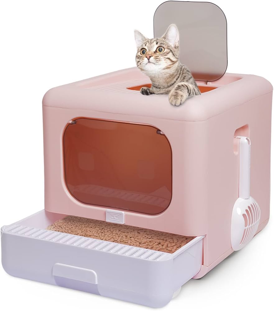 amazon cat litter box