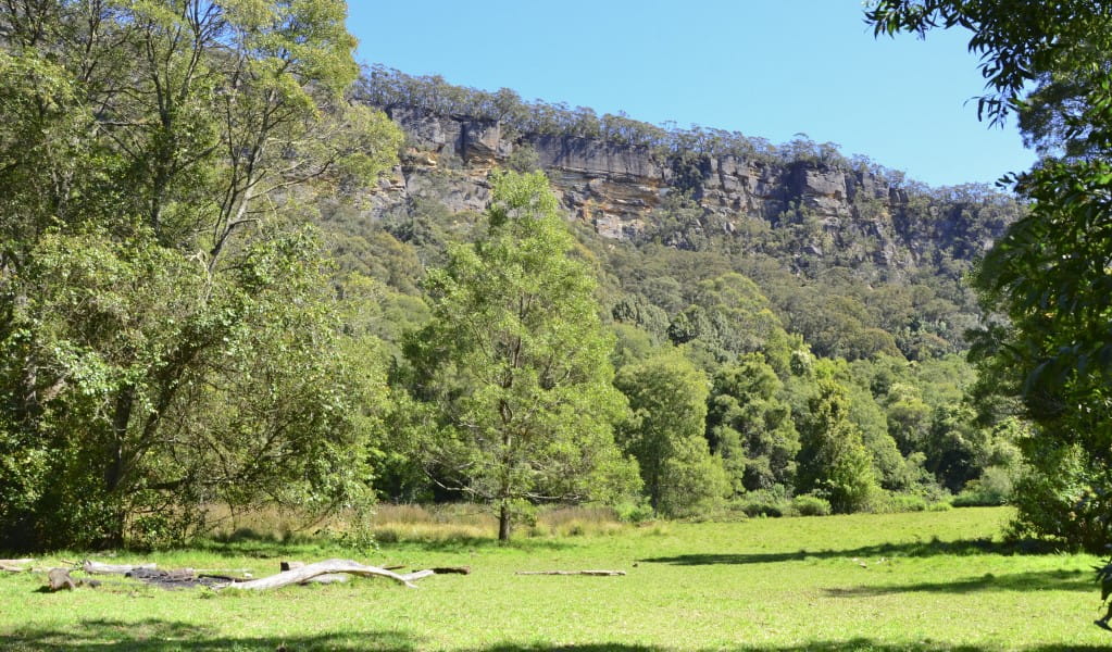 gales flat campground