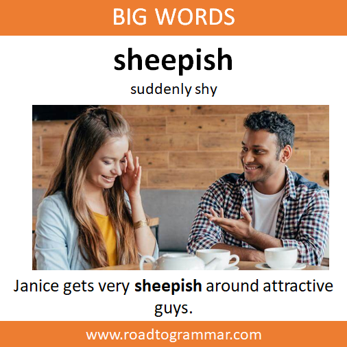 sheepishly definition