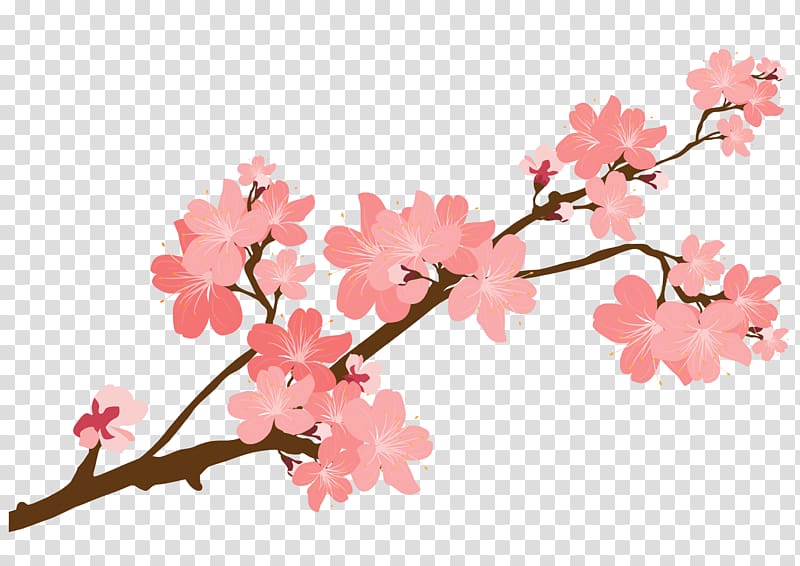 cherry blossom sticker png