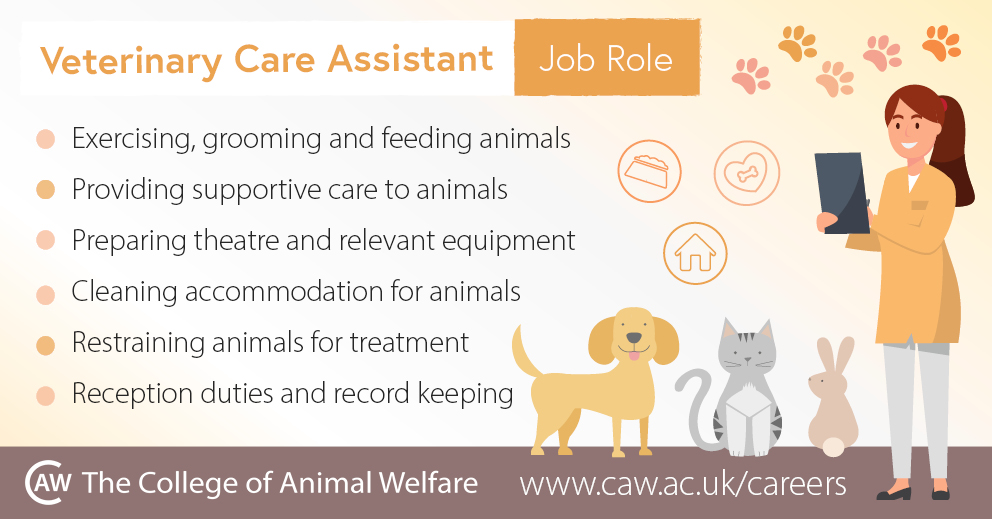 vet assistant jobs near me