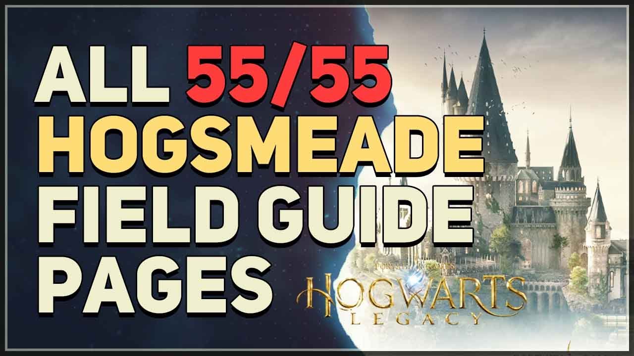 hogsmeade field guide pages