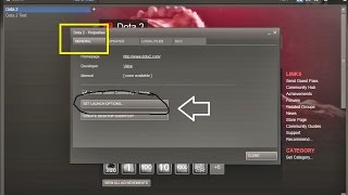 dota 2 launch options