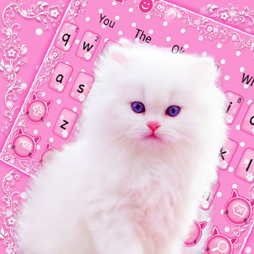 cute pink kitty images