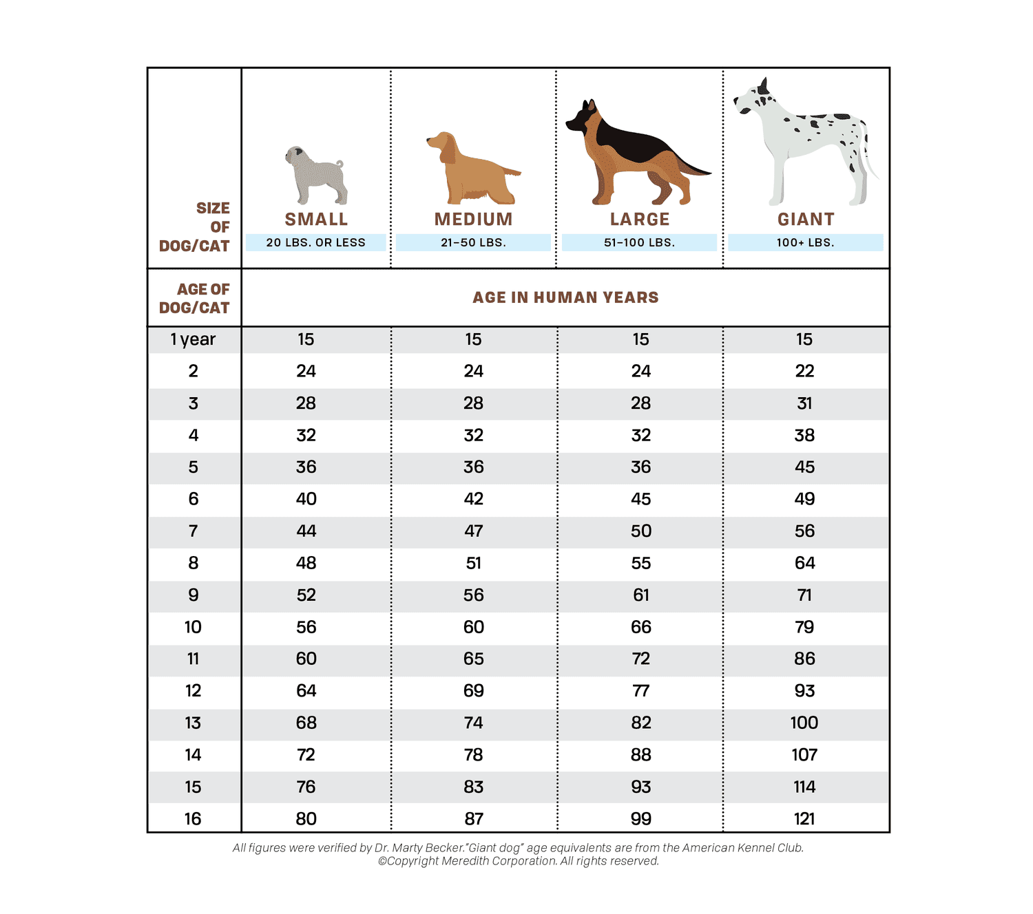 years in dog years chart