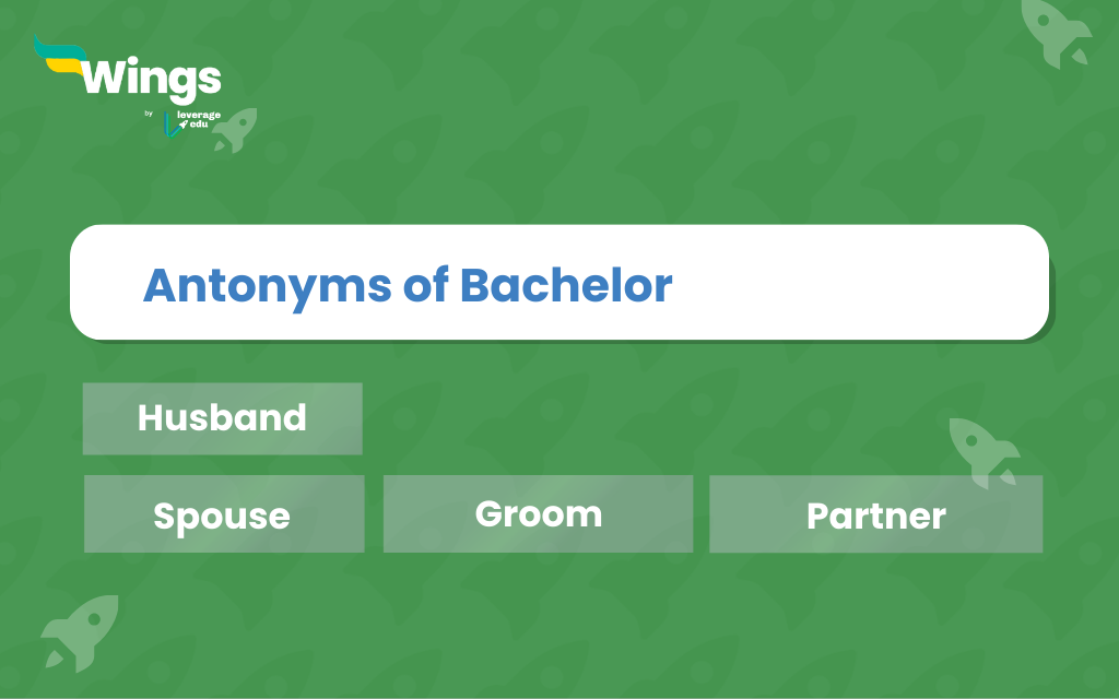 bachelor synonym