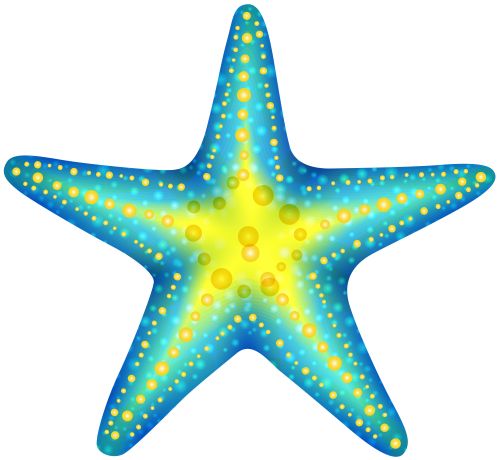 starfish clipart