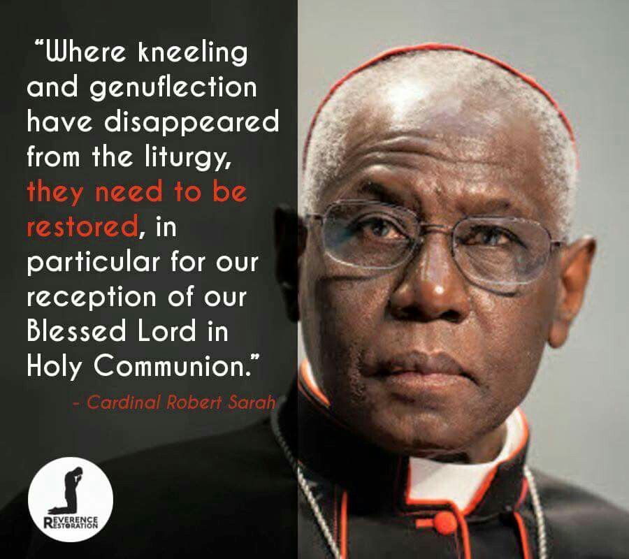 cardinal robert sarah quotes