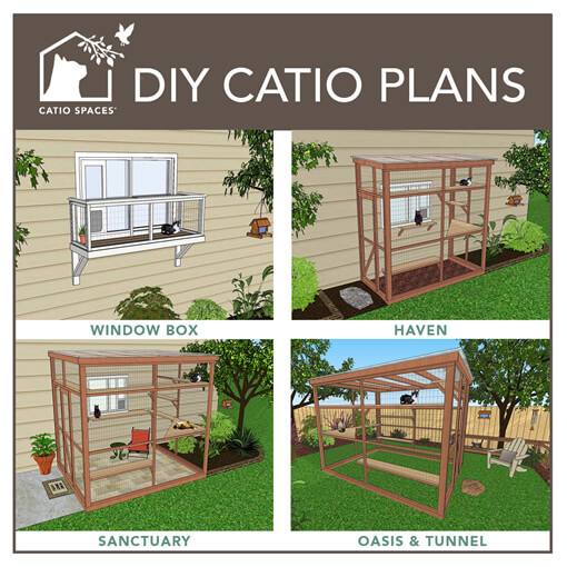 building a cat enclosure