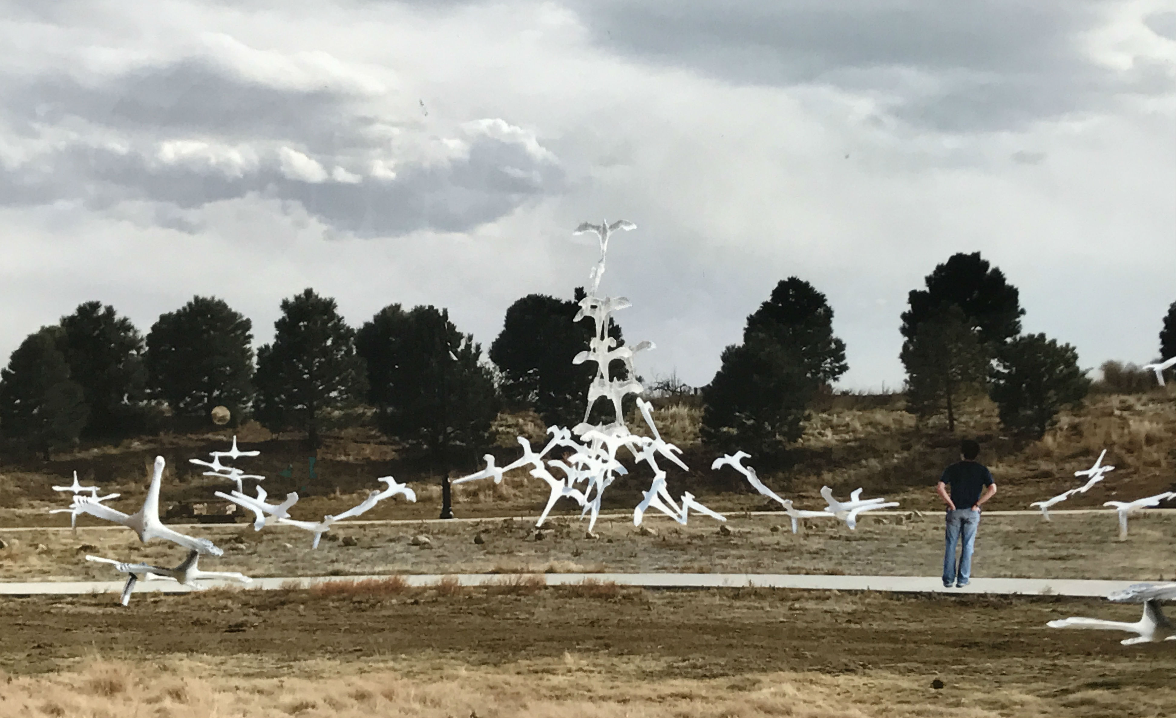 2012 aurora colorado shooting memorial