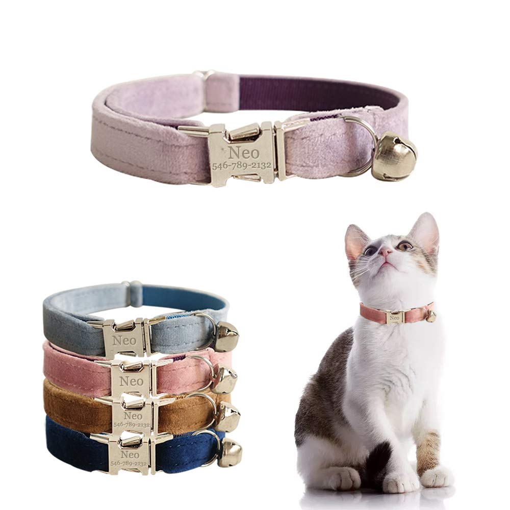 cat collar customizable