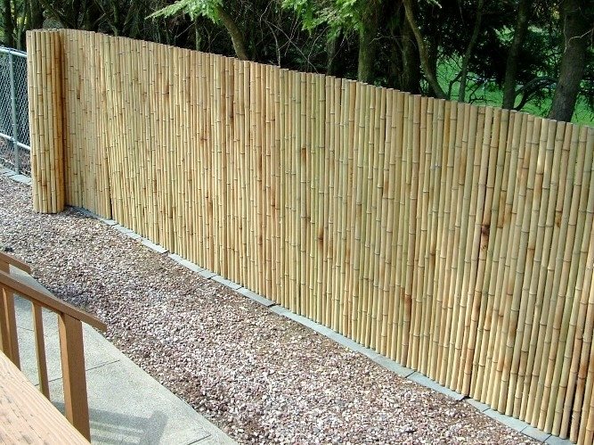 rolled bamboo fence