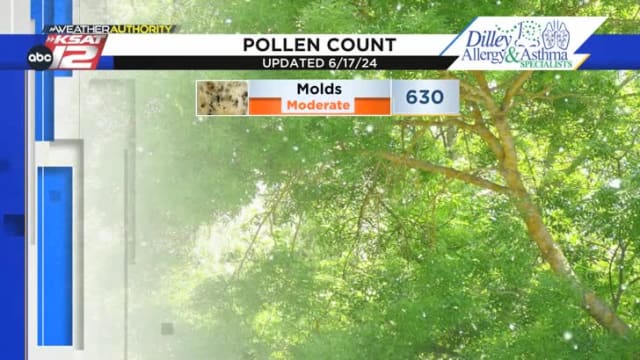 whats the pollen count for today