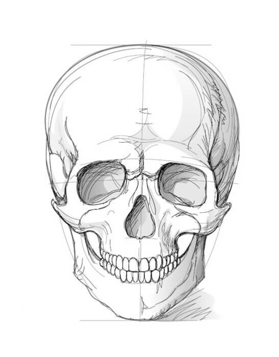 skull drawing