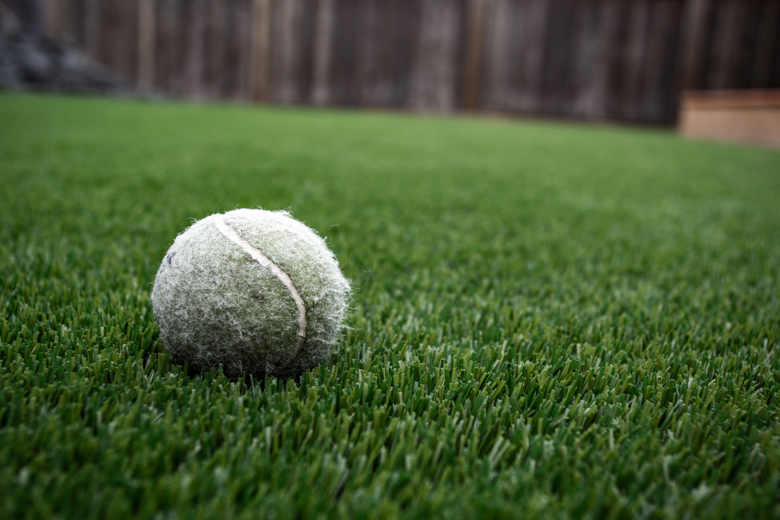 artificial turf north beach