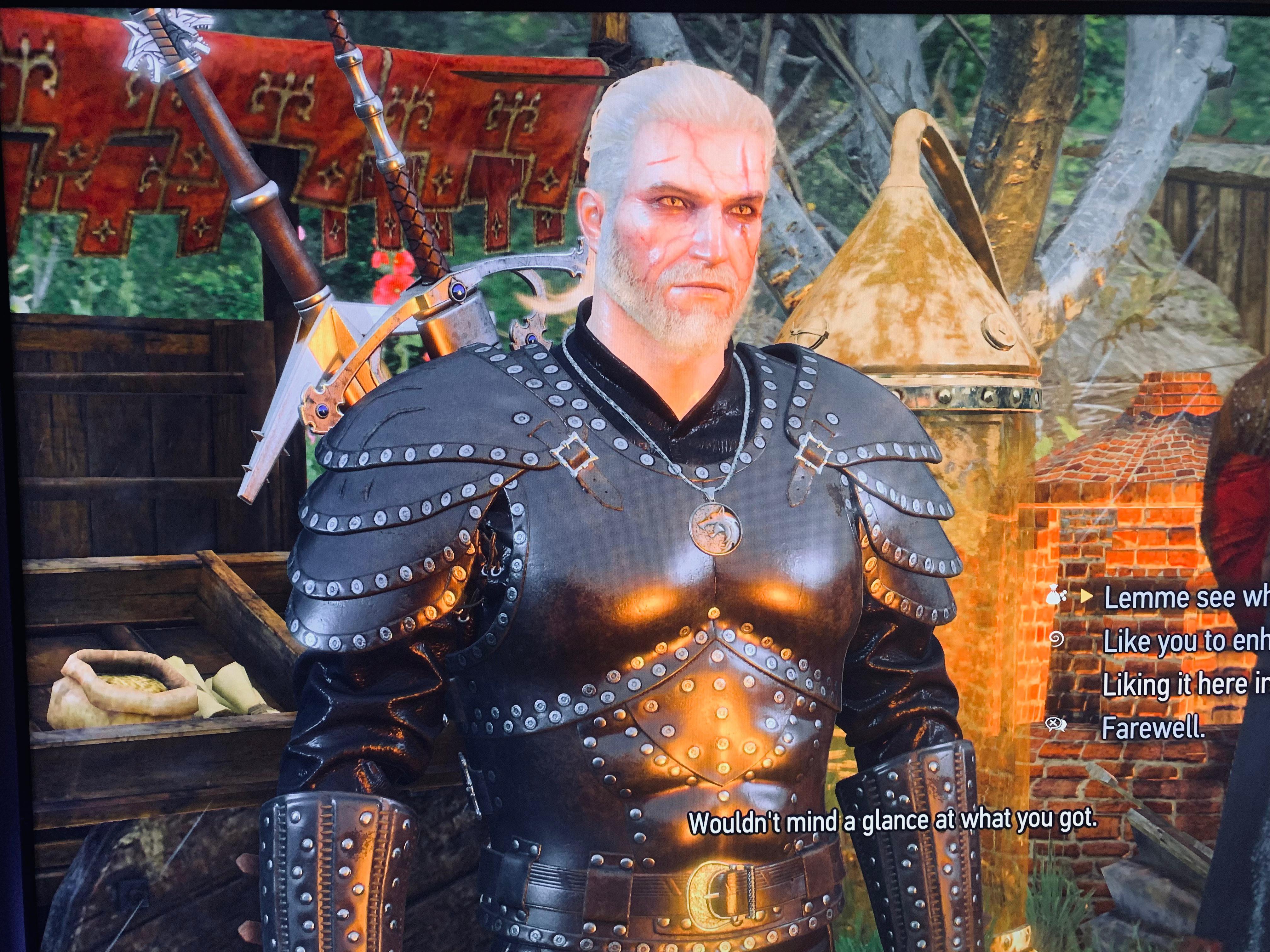 witcher 3 forgotten wolf armor