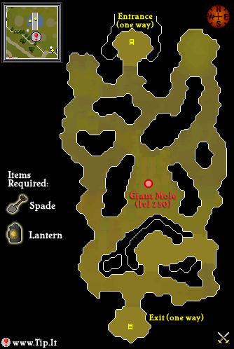 runescape giant mole location