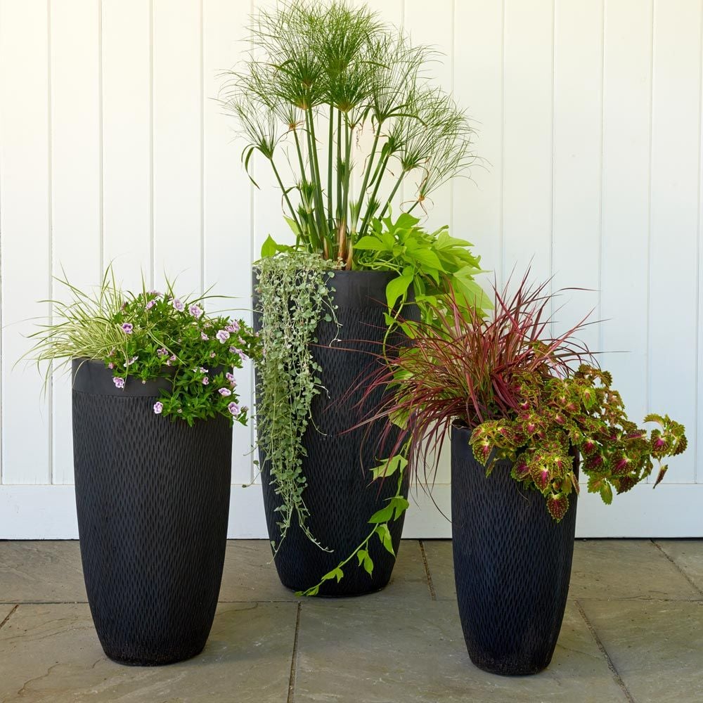 tall black flower pots