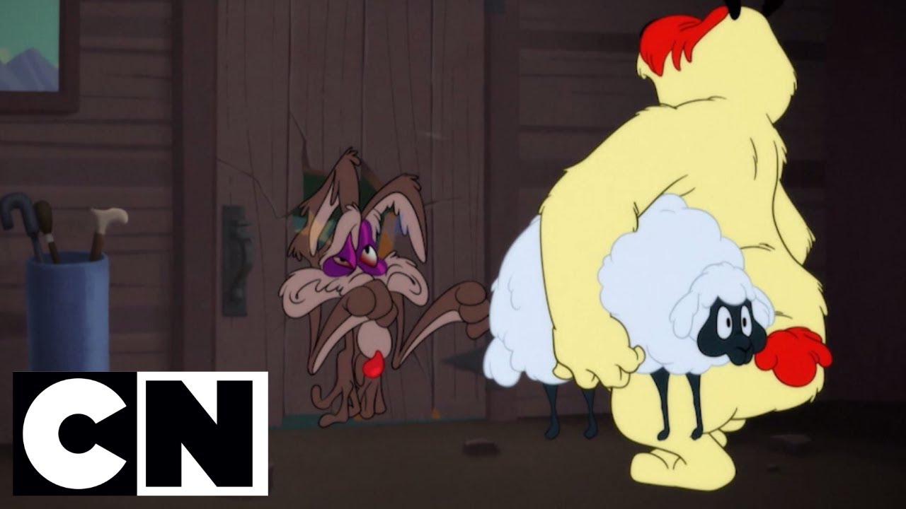 looney tunes ralph wolf and sam sheepdog