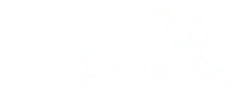 bellas artes piera