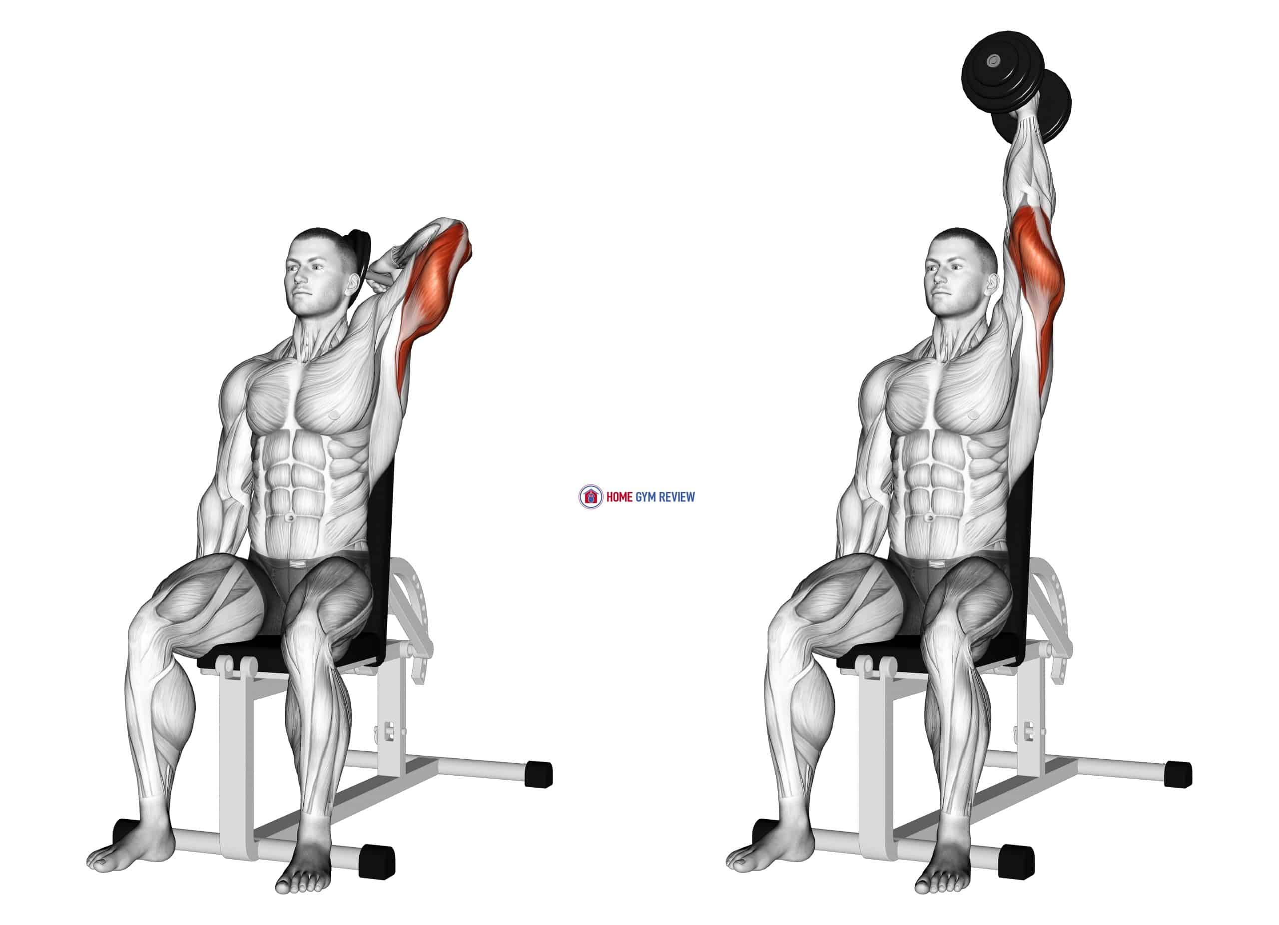 one arm dumbbell extension