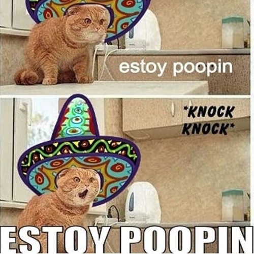 estoy poopin