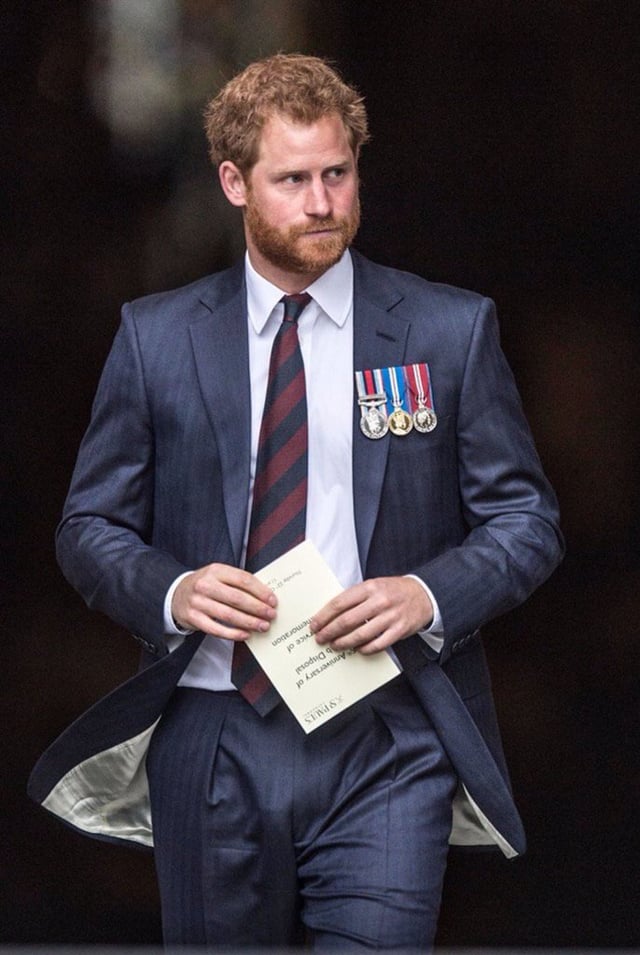 prince harry bulge