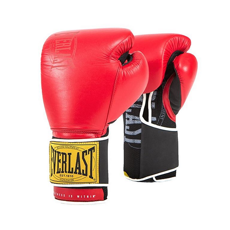 everlast punching gloves