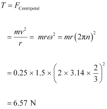 a stone of mass 0.25 kg