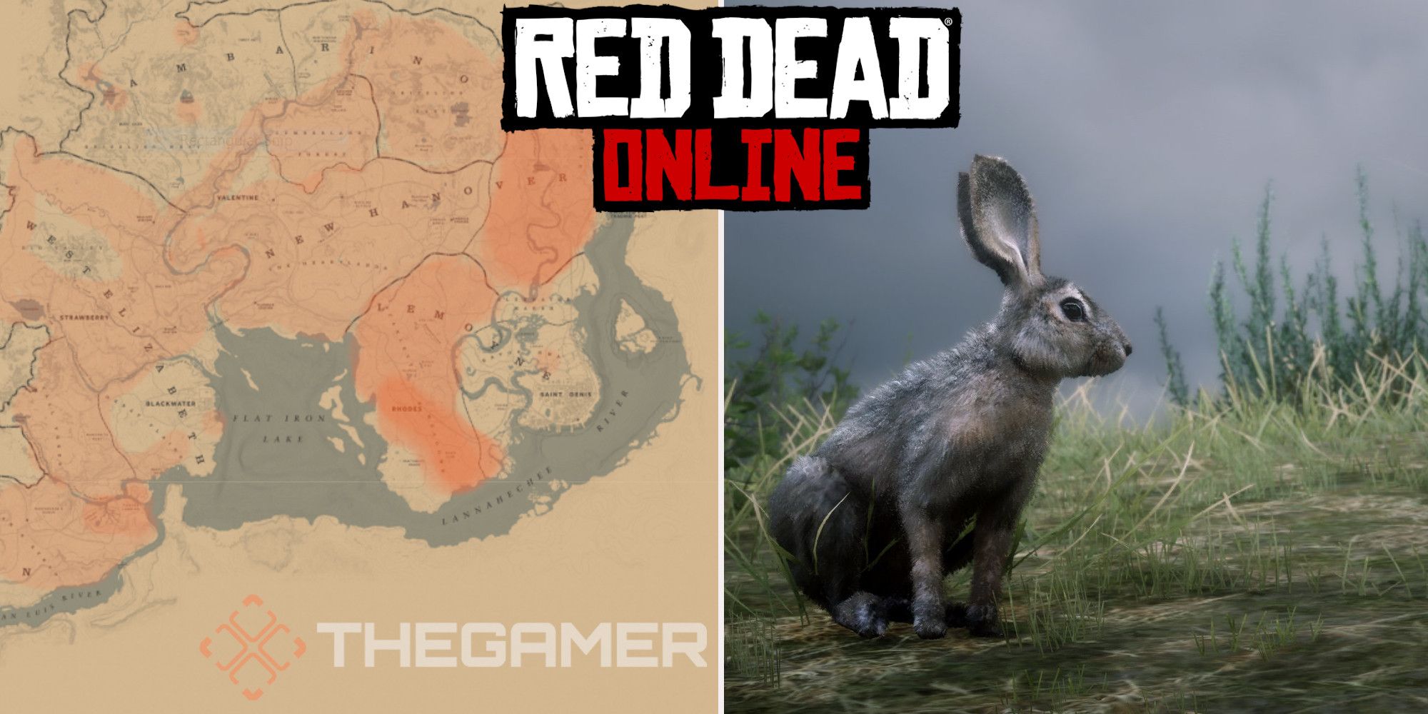 rabbit rdr2