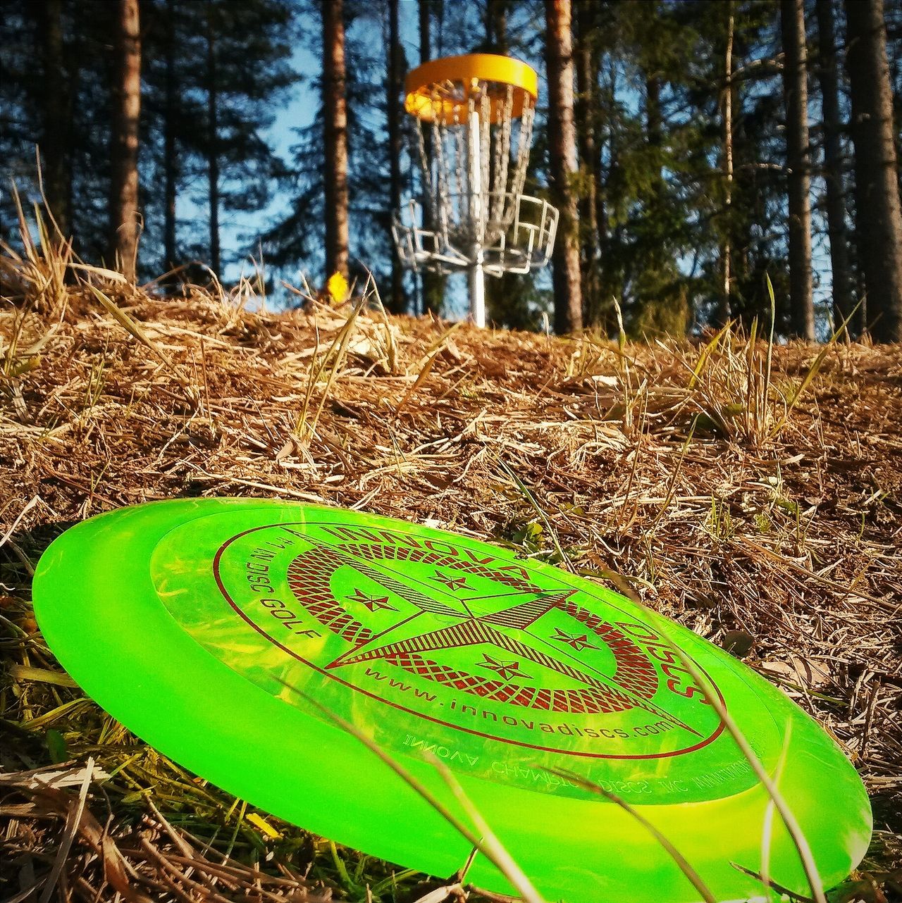 disc golf scene