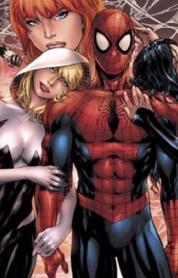 spiderman x harem wattpad