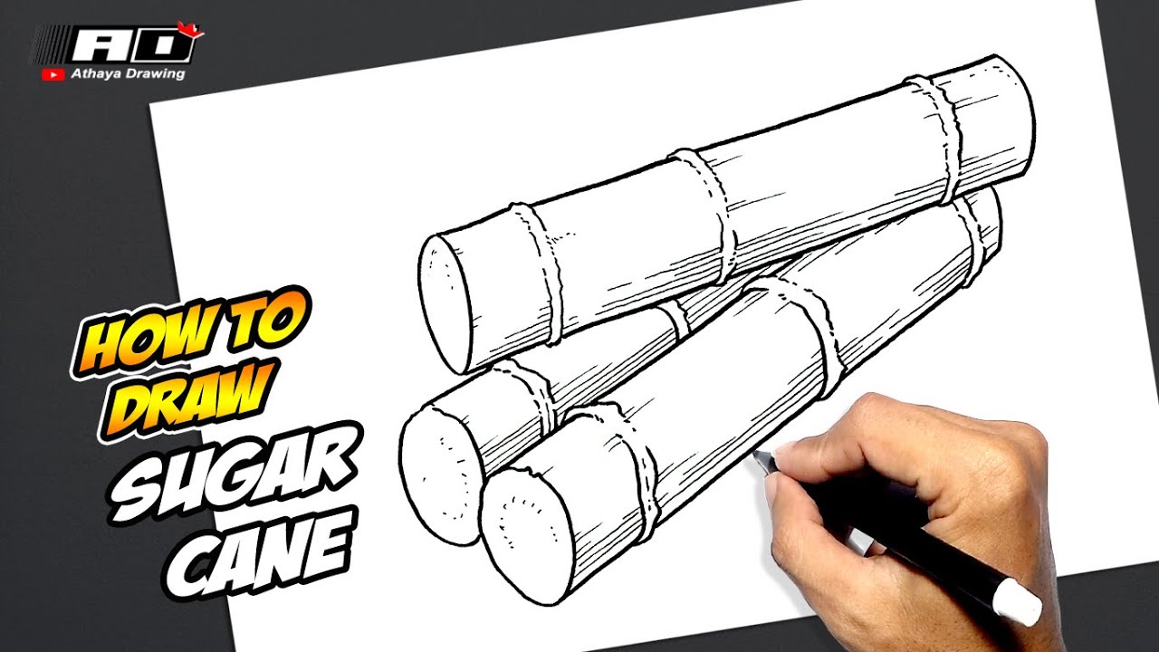 simple sugarcane drawing