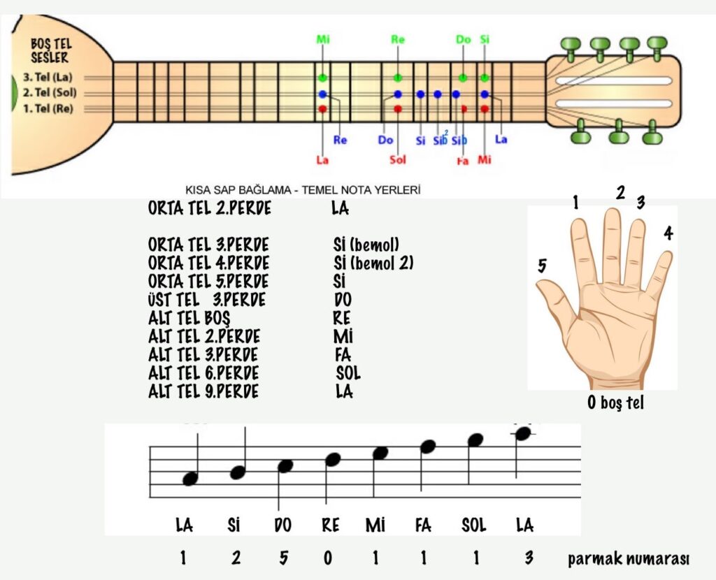 gitar telleri ve notaları