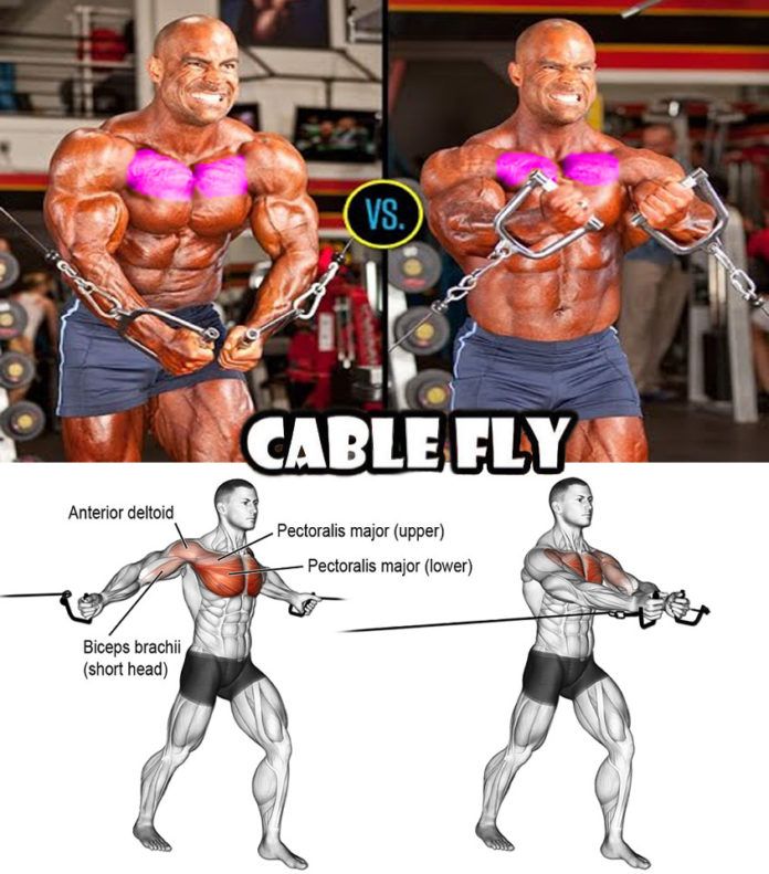 cable fly exercise