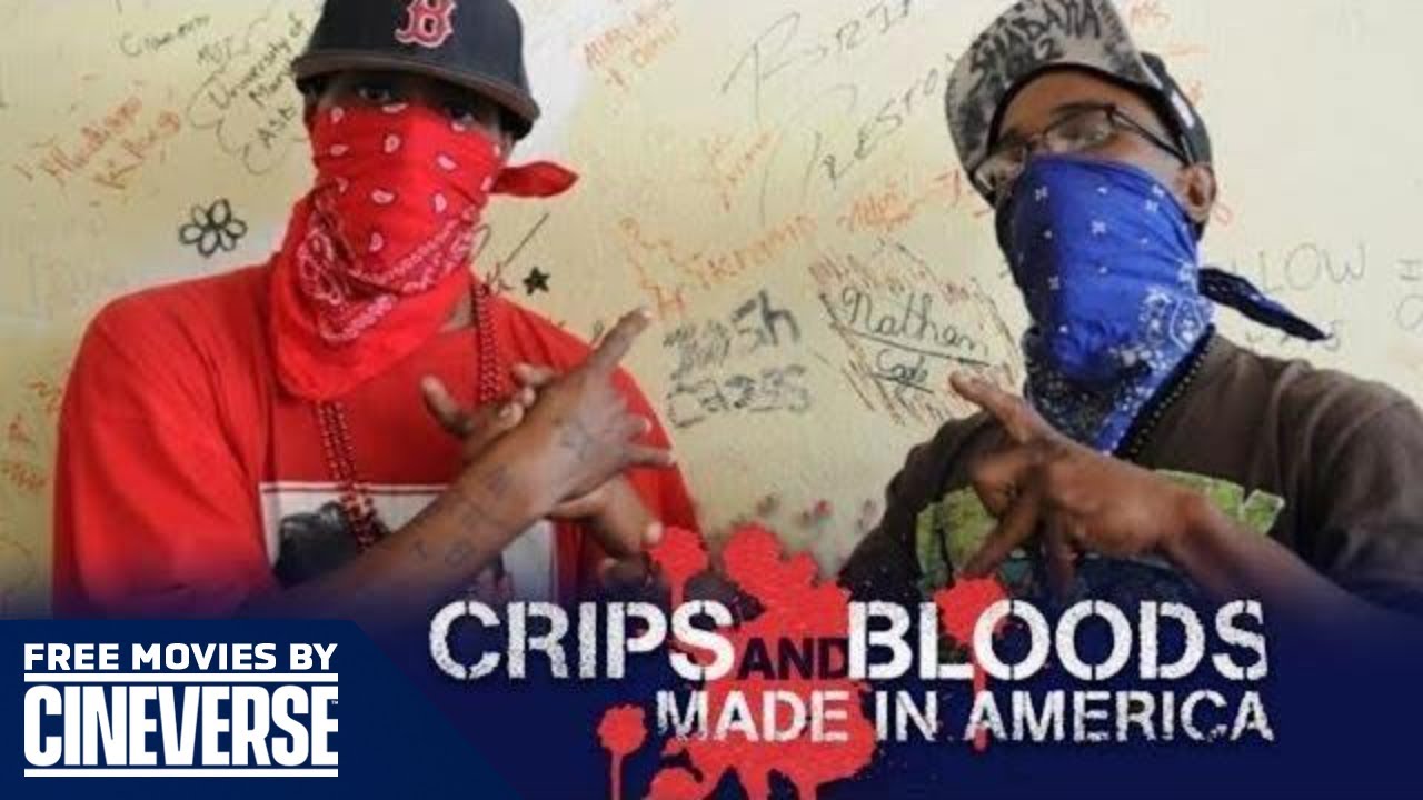 bloods crips