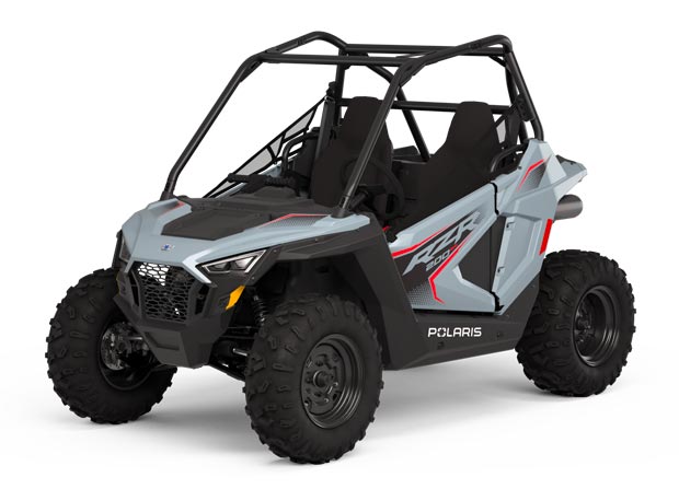 polaris rzr for sale