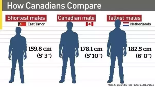 1.81m height in feet