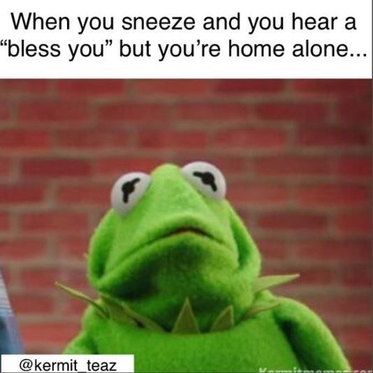 kermit frog meme