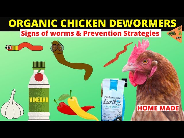 natural dewormer for chickens