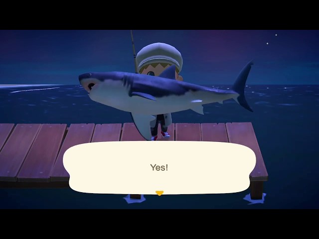 how rare are sharks in animal crossing