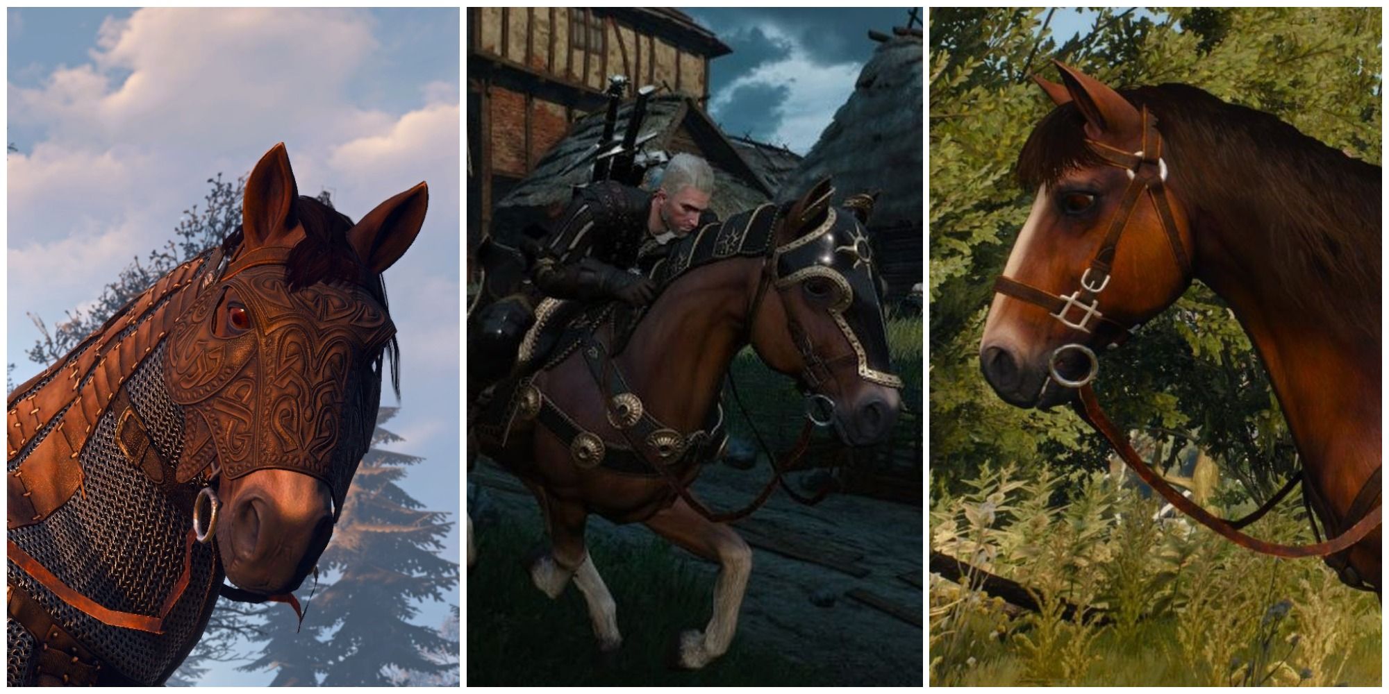 the witcher 3 saddle