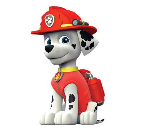 dalmation in paw patrol