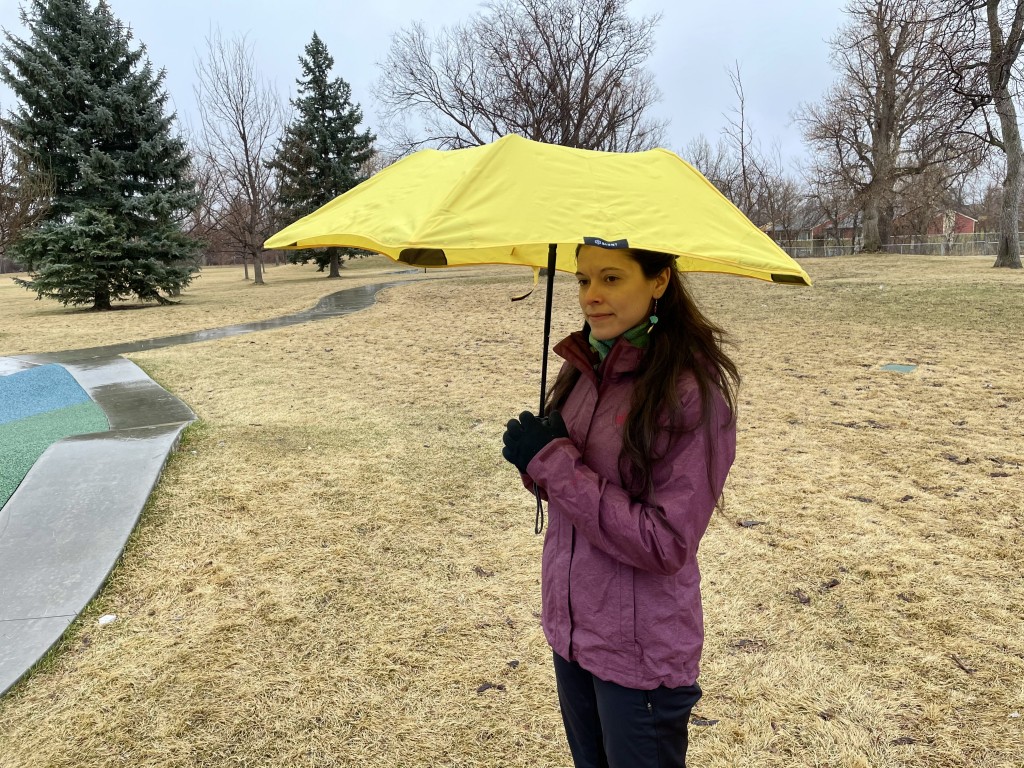 blunt umbrella reviews