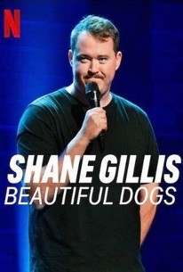 shane gillis netflix