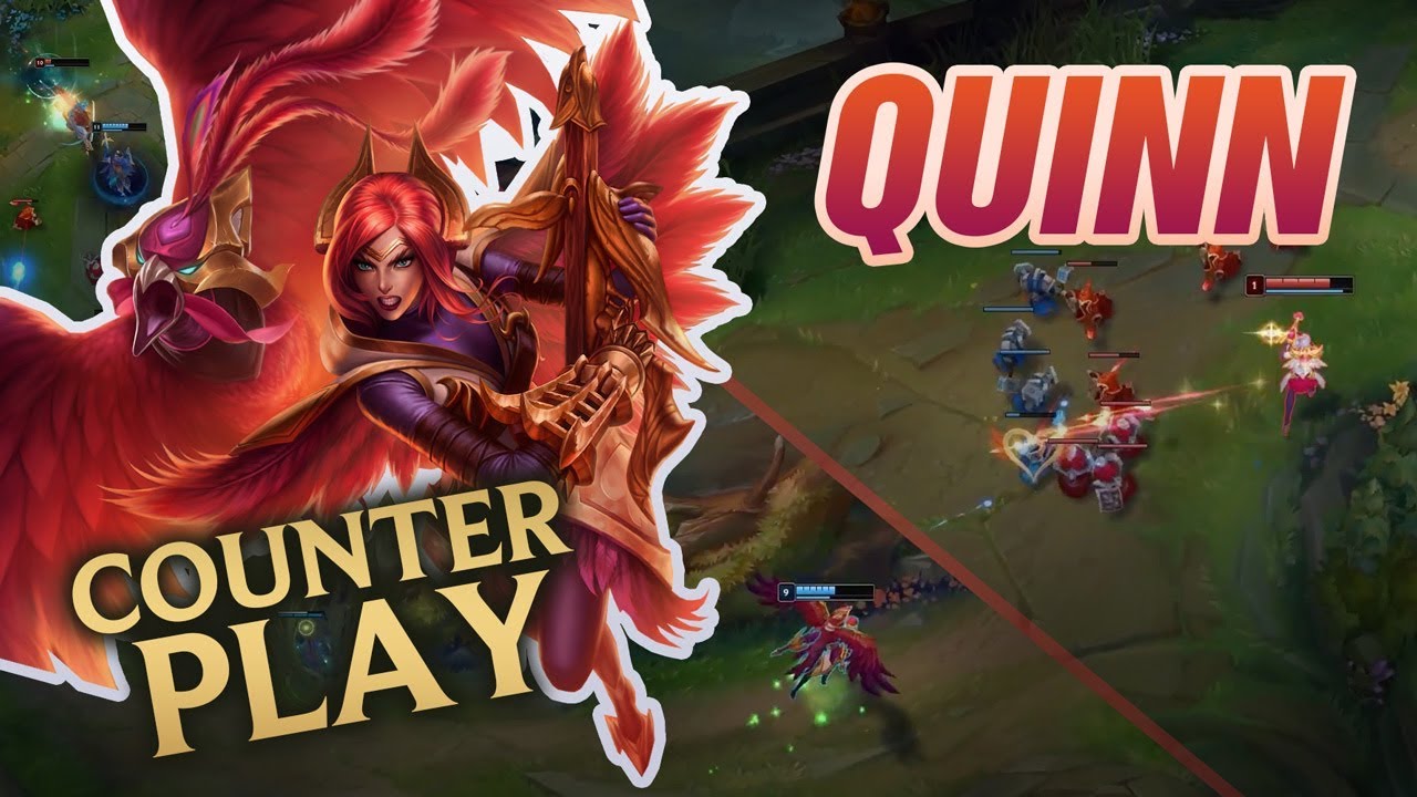 counter quin