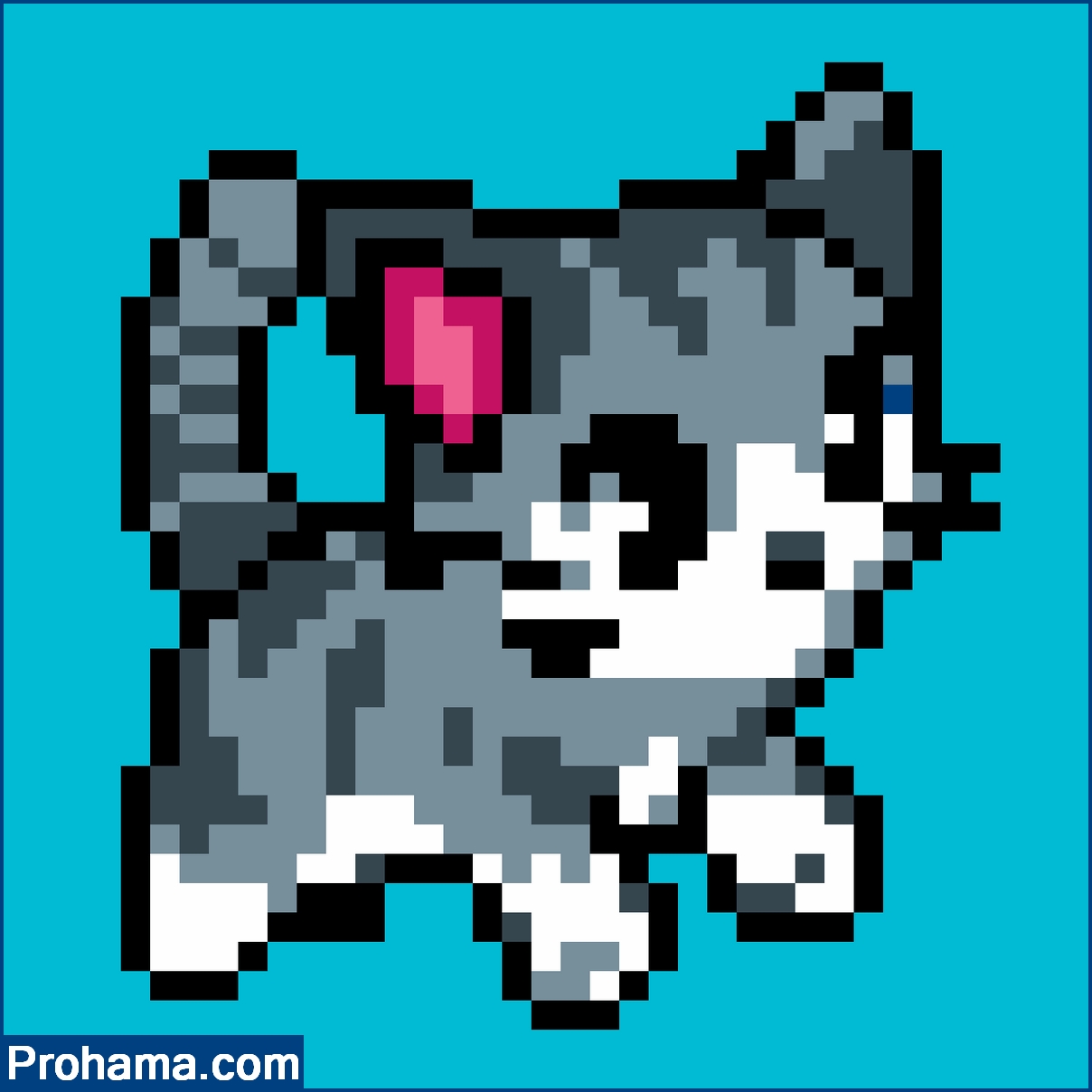 pixelart cat