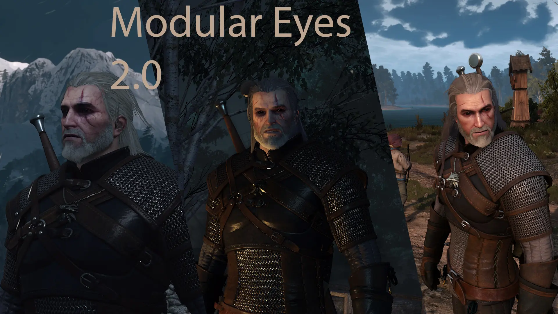 nexus mods witcher 3