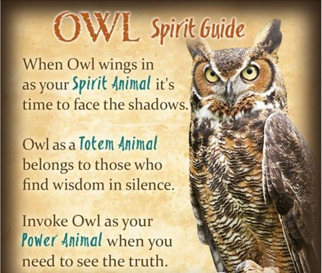 owl represents in bible