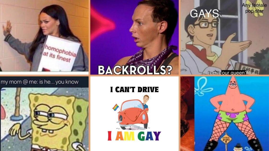 gays memes